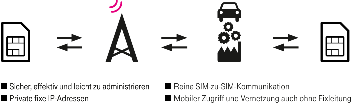 Mobile IP-VPN light Grafik