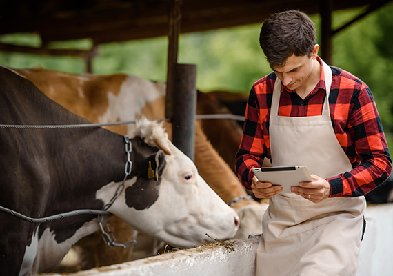 IoT Referenzkunde smatex