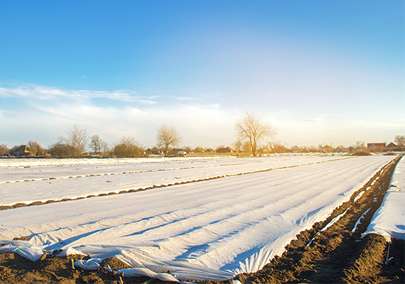 Frostwarnung