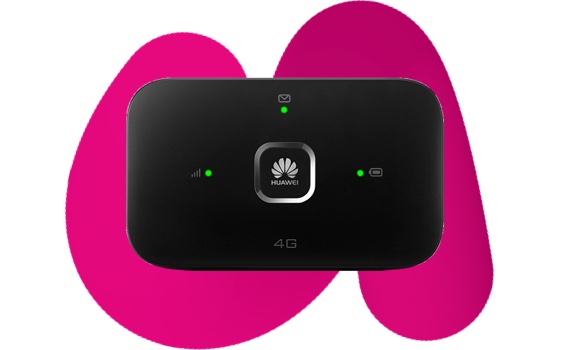 Mobile Internet Box