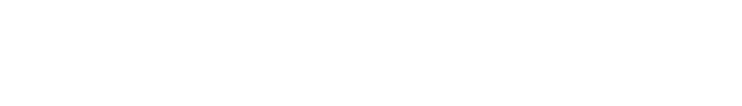 Magenta Business Mobile Internet
