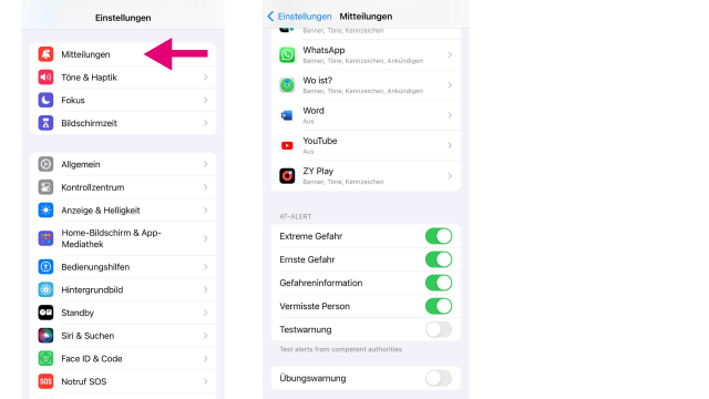 Grafik Einstellungen At-Alert iOS