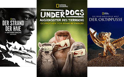 National Geographic Filmposter: Der STrand der Haie, Under Dogs - Aussenseiter des Tierreichs, Die geheimnisvolle Welt der Oktopusse