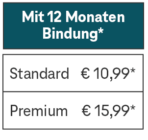 Streaming Preise für Disney+ mit 12 Monaten Bindung: Standard für € 10,99, Premium für € 15,99
