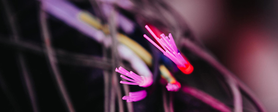 Nahaufnahme eines Glasfaserkabels