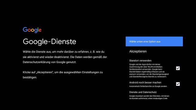 TV Box Google Berechtigung Bildschirm zur Auswahl von Google-Diensten mit aktivierten Optionen. Nutzer kann Berechtigungen markieren oder abwählen und mit Akzeptieren bestätigen.