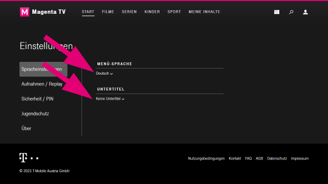TV Web - Auswahl Spracheinstellungen