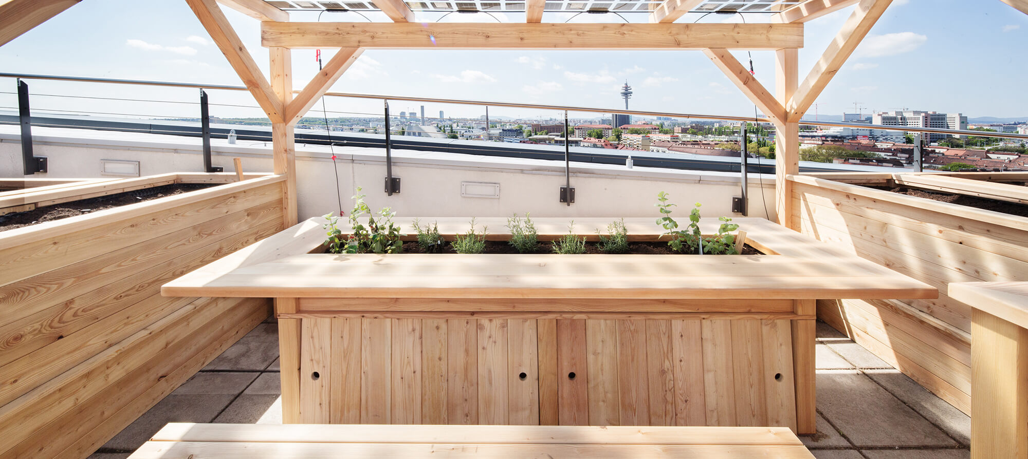 T-Center Dachterrasse T-Center Dachterrasse