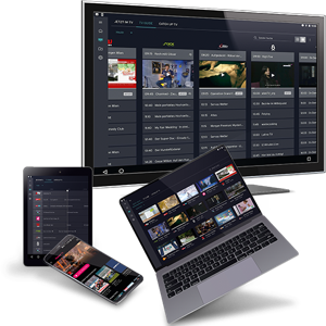 TV, Tablet, Laptop, Smartphone