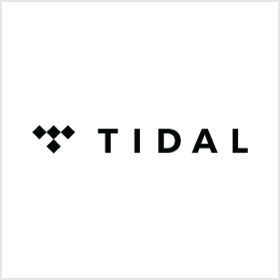 Partner Music Tidal