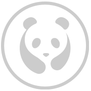 Icon Panda