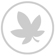 Icon Herbstblätter