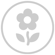 Icon Blume