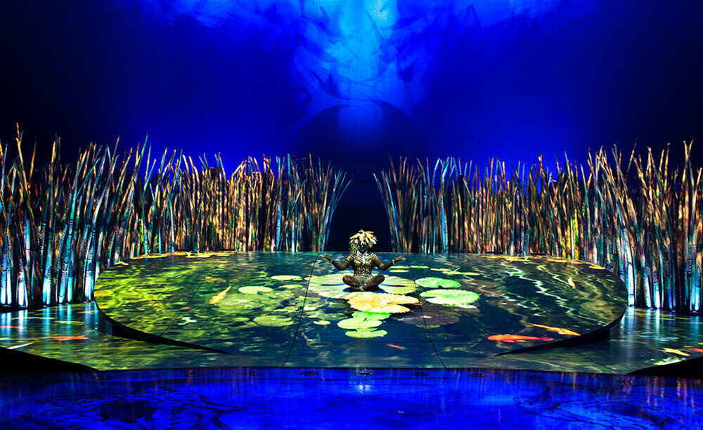 Cirque du Soleil