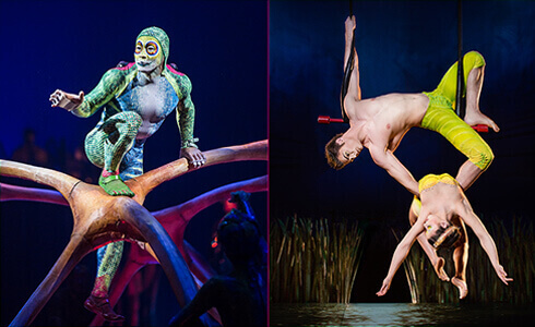 Cirque du Soleil